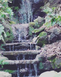 Water splashing on rocks against trees