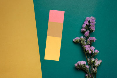 High angle view of purple flower against blue background