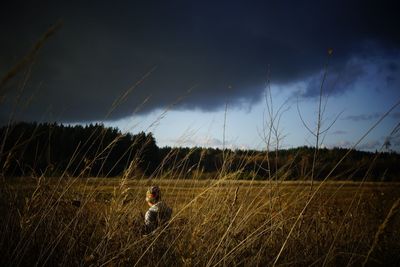 Panoramic view of man on field against sky