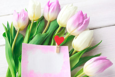 Close-up of pink tulips