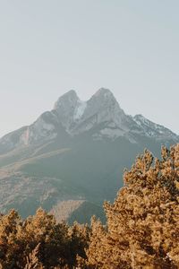 Trees against mountains during winter