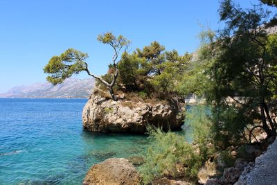 Scenic view of sea against clear blue sky