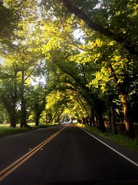 Road passing through country road