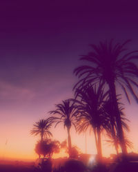 Silhouette palm trees against sky during sunset