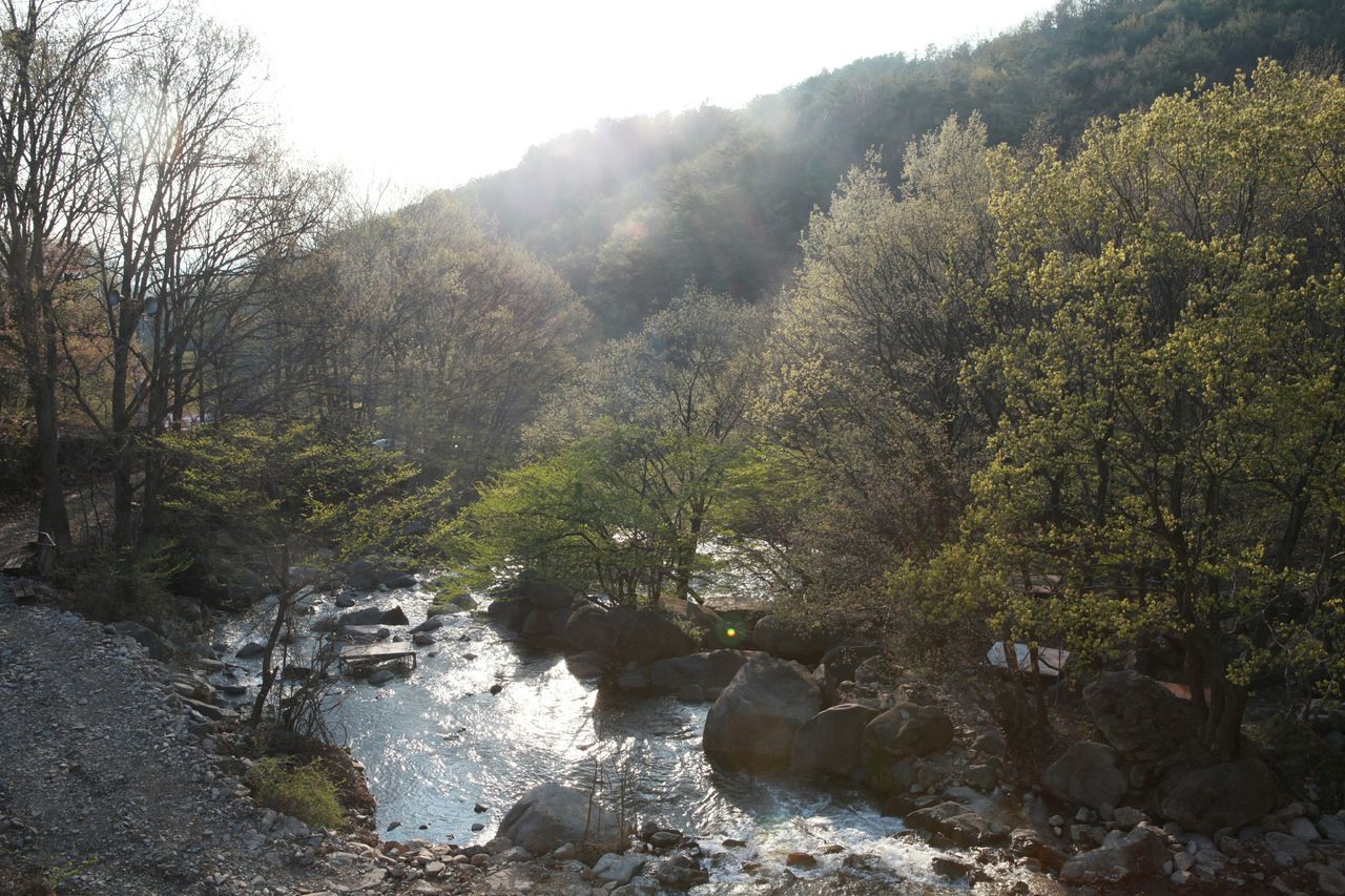 water, scenics, tranquil scene, tranquility, mountain, beauty in nature, rock - object, tree, nature, stream, river, rock formation, forest, non-urban scene, idyllic, rock, sky, flowing water, day, flowing