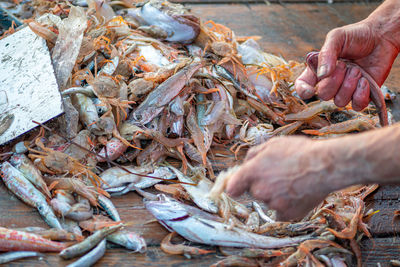 seafood
