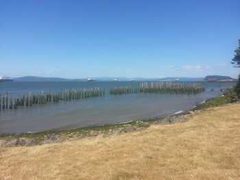 Scenic view of beach against sky