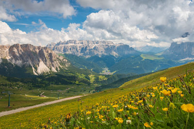 Scenic view of sella group mountains with flowers in the foreground against cloudy sky