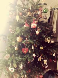 Close-up of illuminated christmas tree