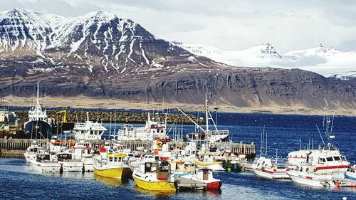 Sailboats sailing in sea against sky