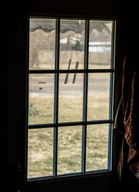 window