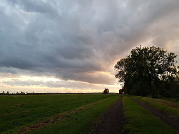 Scenic view of field against sky during sunset