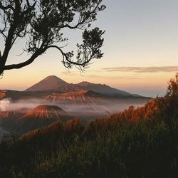 Scenic view of landscape against sky during sunset