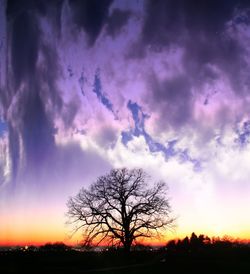 Silhouette of bare tree on landscape at sunset