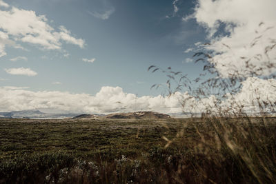 Scenic view of field against sky