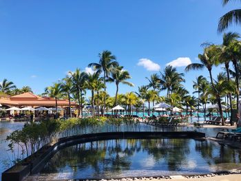 Palm trees by swimming pool against sky