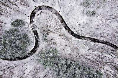 High angle view of trees on road