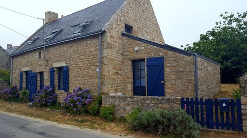 View of plants against building