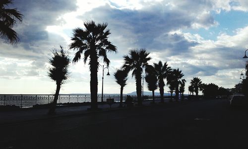 Silhouette palm trees on beach against sky