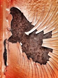 Full frame shot of wood