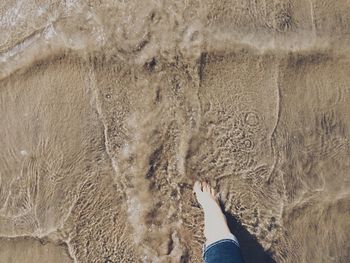 Low section of woman standing on beach