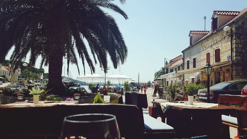 Chairs and palm trees in city against clear sky