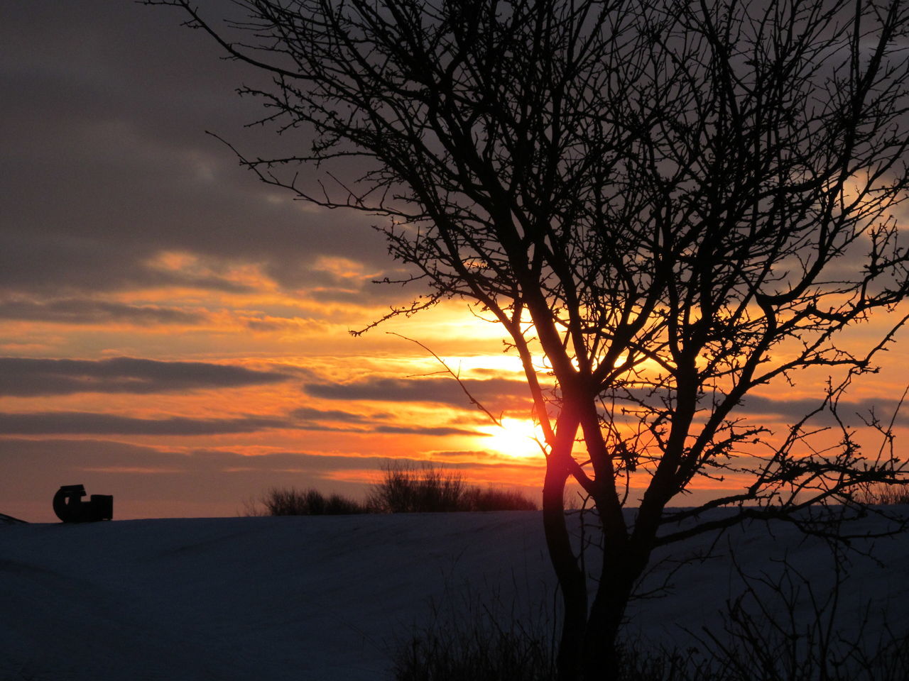 sunset, bare tree, silhouette, tranquil scene, tranquility, scenics, orange color, beauty in nature, sky, sun, landscape, nature, tree, branch, idyllic, winter, snow, cloud - sky, field, cold temperature