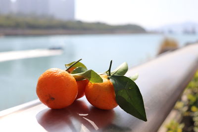 Close-up of orange fruits on table