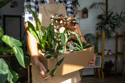 Low section of woman holding potted plant