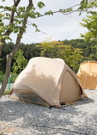 Tent on field