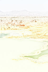 Scenic view of sea shore against sky