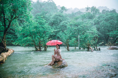 People sitting on riverbank in forest