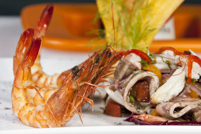 Close-up of meal served in a plate