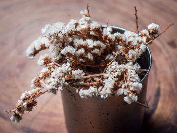 Close-up of white flowers on table