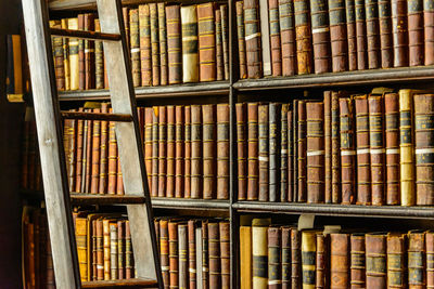 Abundance of various aged books with hardcovers placed on dark bookshelves near long wooden ladder in light library of university