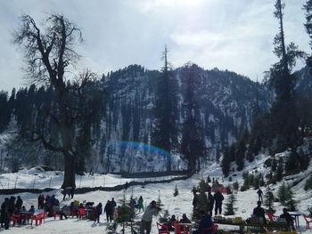 People on snow covered trees against sky