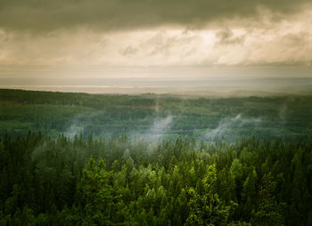 Scenic view of landscape against sky