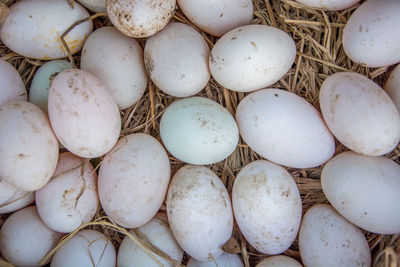 Full frame shot of eggs in market