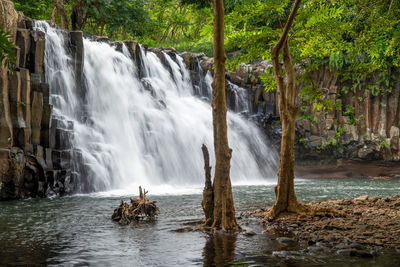 Scenic view of waterfall in forest