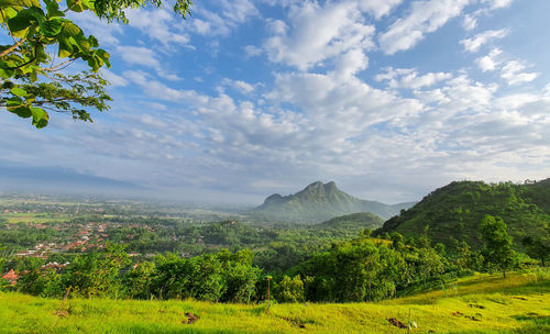 Scenic view of field against sky