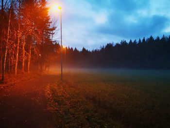 Scenic view of trees during sunset