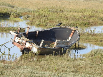 Abandoned boat on lakeshore