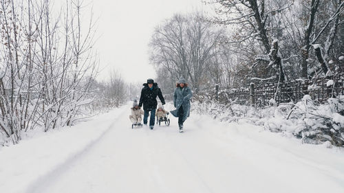 Family sledding in winter. outdoor winter activity. happy, laughing, playful family of 4 is enjoying