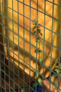 Full frame shot of metal grate