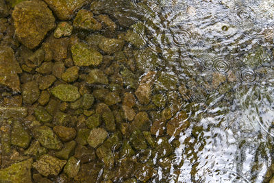 Full frame shot of rippled water