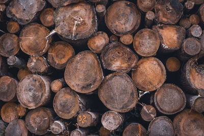 Pile of lumber in the nationalpark harz