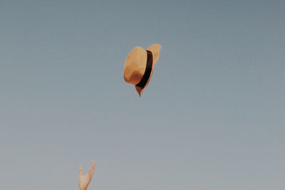 Low angle view of hand against sky