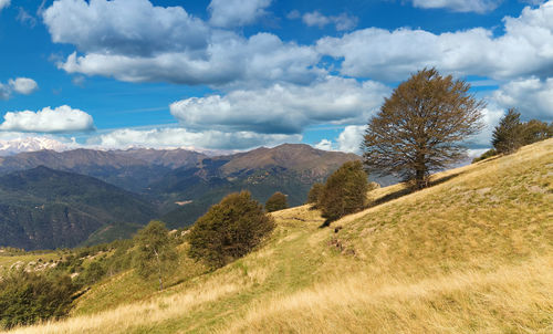 Scenic view of landscape against sky