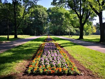 Park paderewskiego, warsaw