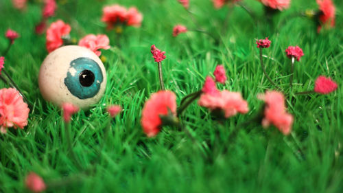 Artificial eye amidst flowers on field